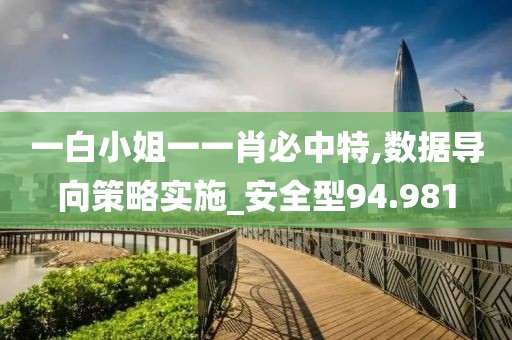一白小姐一一肖必中特,數(shù)據(jù)導(dǎo)向策略實(shí)施_安全型94.981