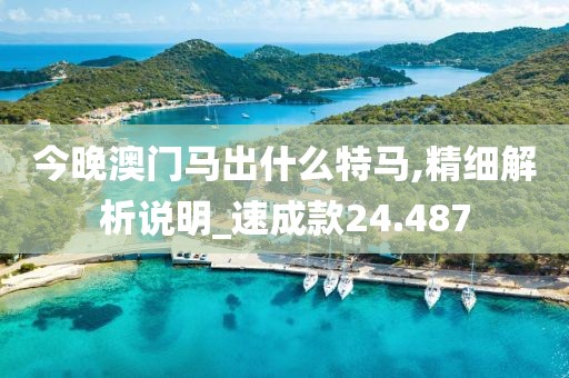 今晚澳門馬出什么特馬,精細解析說明_速成款24.487