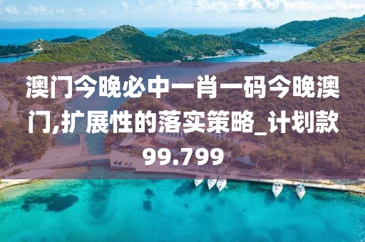 澳門今晚必中一肖一碼今晚澳門,擴展性的落實策略_計劃款99.799