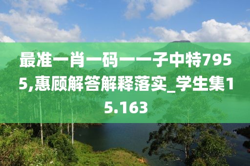 最準一肖一碼一一子中特7955,惠顧解答解釋落實_學生集15.163