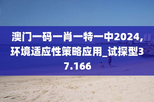 澳門一碼一肖一特一中2024,環(huán)境適應(yīng)性策略應(yīng)用_試探型37.166