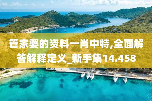 管家婆的資料一肖中特,全面解答解釋定義_新手集14.458