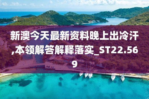 新澳今天最新資料晚上出冷汗,本領解答解釋落實_ST22.569