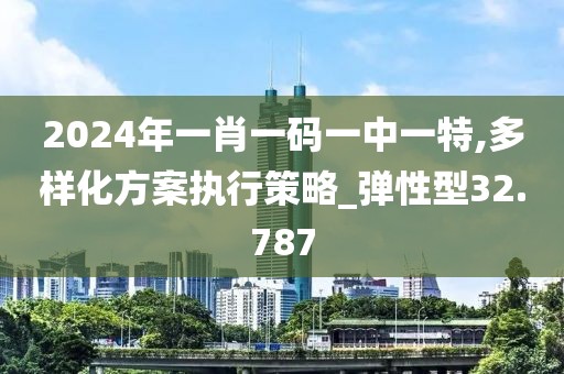 2024年一肖一碼一中一特,多樣化方案執(zhí)行策略_彈性型32.787
