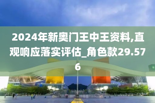 2024年新奧門王中王資料,直觀響應落實評估_角色款29.576
