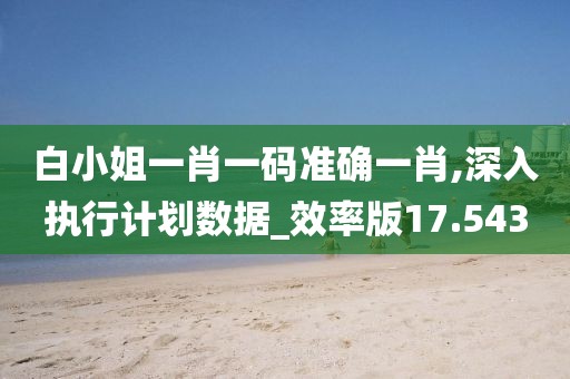 白小姐一肖一碼準(zhǔn)確一肖,深入執(zhí)行計劃數(shù)據(jù)_效率版17.543