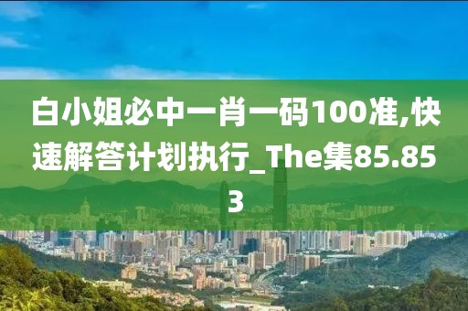 白小姐必中一肖一碼100準(zhǔn),快速解答計(jì)劃執(zhí)行_The集85.853
