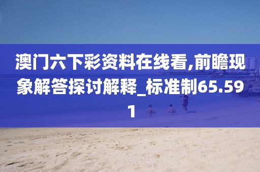 澳門六下彩資料在線看,前瞻現(xiàn)象解答探討解釋_標準制65.591