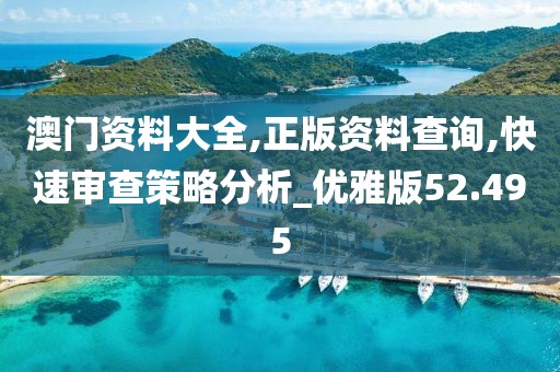 澳門資料大全,正版資料查詢,快速審查策略分析_優(yōu)雅版52.495