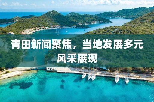 青田新聞聚焦，當(dāng)?shù)匕l(fā)展多元風(fēng)采展現(xiàn)