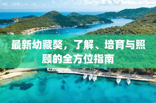 最新幼藏獒，了解、培育與照顧的全方位指南