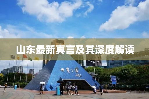 山東最新真言及其深度解讀