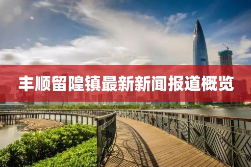 豐順留隍鎮(zhèn)最新新聞報(bào)道概覽