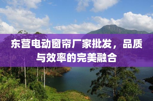 東營電動窗簾廠家批發(fā)，品質與效率的完美融合