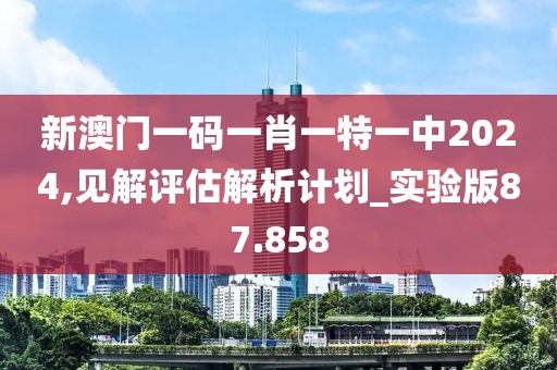 新澳門一碼一肖一特一中2024,見解評估解析計劃_實驗版87.858