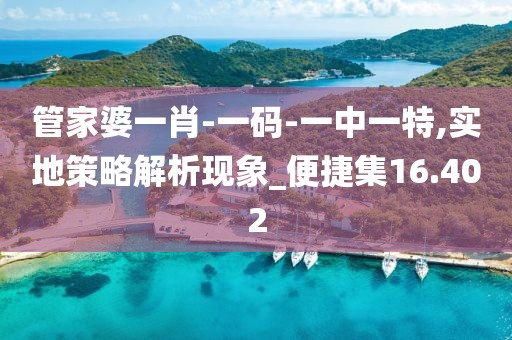 管家婆一肖-一碼-一中一特,實(shí)地策略解析現(xiàn)象_便捷集16.402