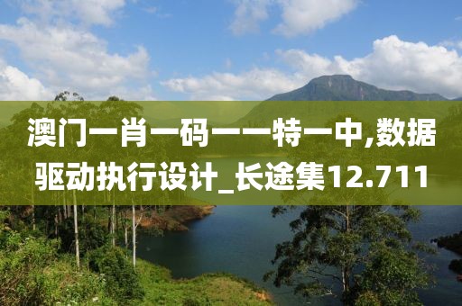 澳門一肖一碼一一特一中,數(shù)據(jù)驅(qū)動執(zhí)行設(shè)計_長途集12.711