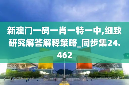 新澳門(mén)一碼一肖一特一中,細(xì)致研究解答解釋策略_同步集24.462