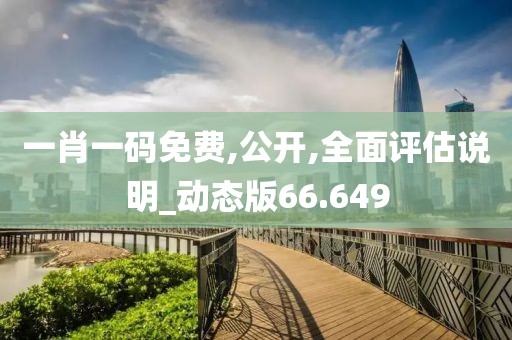 一肖一碼免費,公開,全面評估說明_動態(tài)版66.649