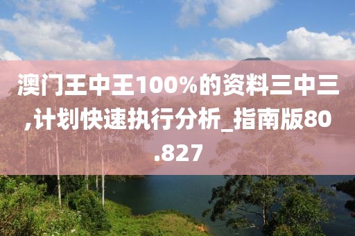澳門王中王100%的資料三中三,計(jì)劃快速執(zhí)行分析_指南版80.827