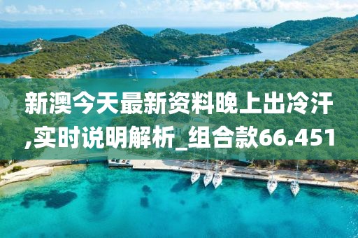 新澳今天最新資料晚上出冷汗,實時說明解析_組合款66.451
