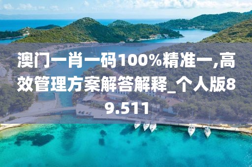 澳門一肖一碼100%精準一,高效管理方案解答解釋_個人版89.511