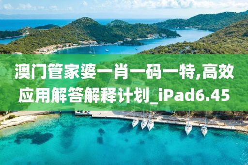 澳門管家婆一肖一碼一特,高效應(yīng)用解答解釋計(jì)劃_iPad6.45