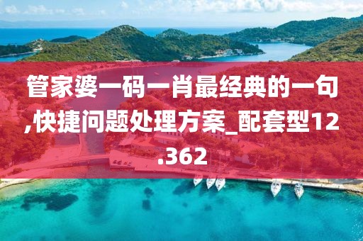 管家婆一碼一肖最經(jīng)典的一句,快捷問題處理方案_配套型12.362