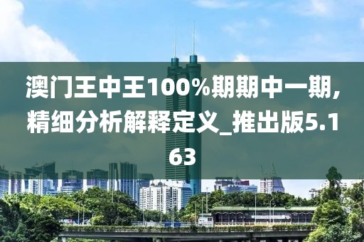 澳門王中王100%期期中一期,精細(xì)分析解釋定義_推出版5.163