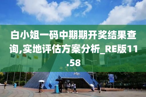 白小姐一碼中期期開(kāi)獎(jiǎng)結(jié)果查詢(xún),實(shí)地評(píng)估方案分析_RE版11.58