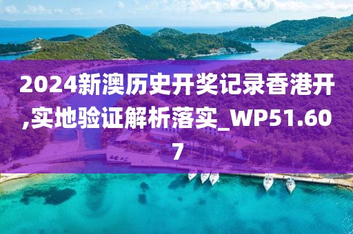 2024新澳歷史開獎(jiǎng)記錄香港開,實(shí)地驗(yàn)證解析落實(shí)_WP51.607