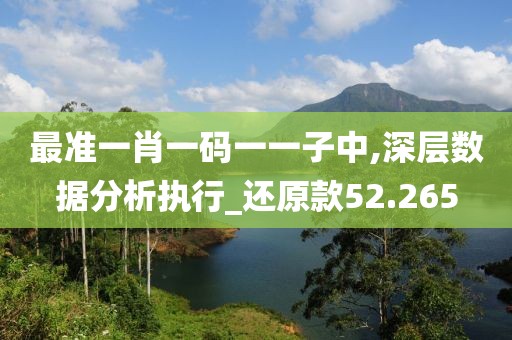最準(zhǔn)一肖一碼一一子中,深層數(shù)據(jù)分析執(zhí)行_還原款52.265