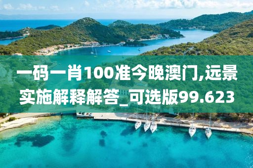 一碼一肖100準(zhǔn)今晚澳門,遠(yuǎn)景實施解釋解答_可選版99.623