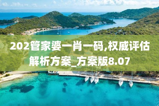 202管家婆一肖一碼,權(quán)威評(píng)估解析方案_方案版8.07
