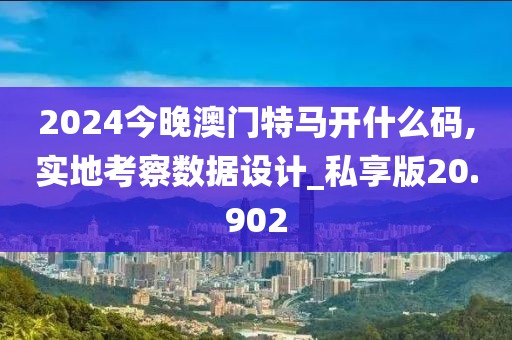 2024今晚澳門(mén)特馬開(kāi)什么碼,實(shí)地考察數(shù)據(jù)設(shè)計(jì)_私享版20.902