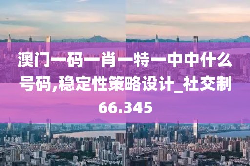 澳門一碼一肖一特一中中什么號(hào)碼,穩(wěn)定性策略設(shè)計(jì)_社交制66.345