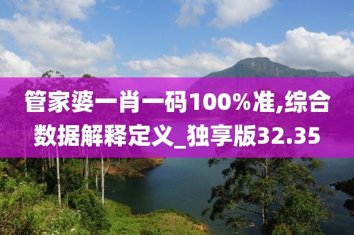 管家婆一肖一碼100%準(zhǔn),綜合數(shù)據(jù)解釋定義_獨(dú)享版32.35