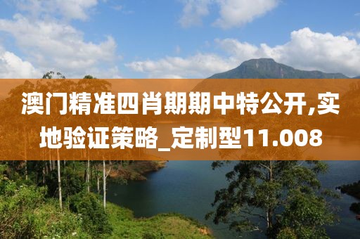 澳門精準(zhǔn)四肖期期中特公開,實地驗證策略_定制型11.008