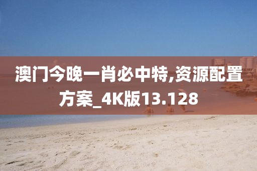 澳門(mén)今晚一肖必中特,資源配置方案_4K版13.128