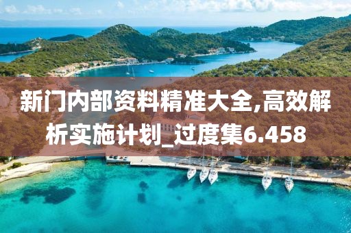 新門內(nèi)部資料精準大全,高效解析實施計劃_過度集6.458