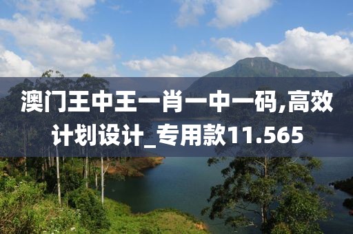 澳門王中王一肖一中一碼,高效計劃設(shè)計_專用款11.565