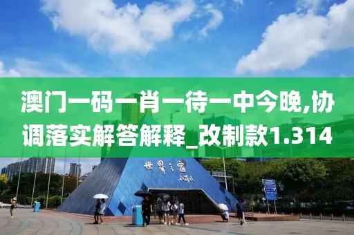 澳門一碼一肖一待一中今晚,協(xié)調(diào)落實(shí)解答解釋_改制款1.314