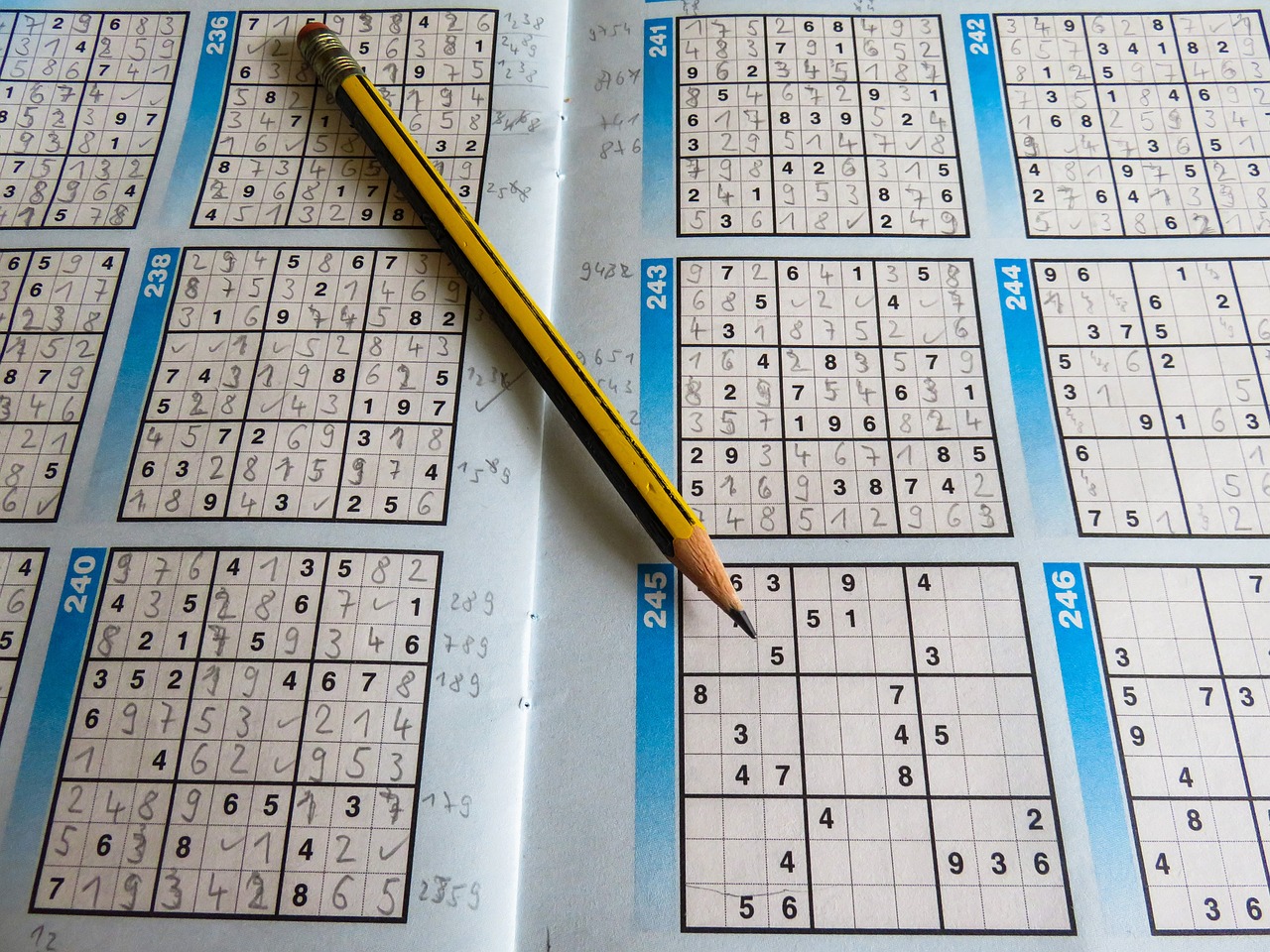 新澳門黃大仙三期必出,迅捷解答方案實(shí)施_排球集87.972