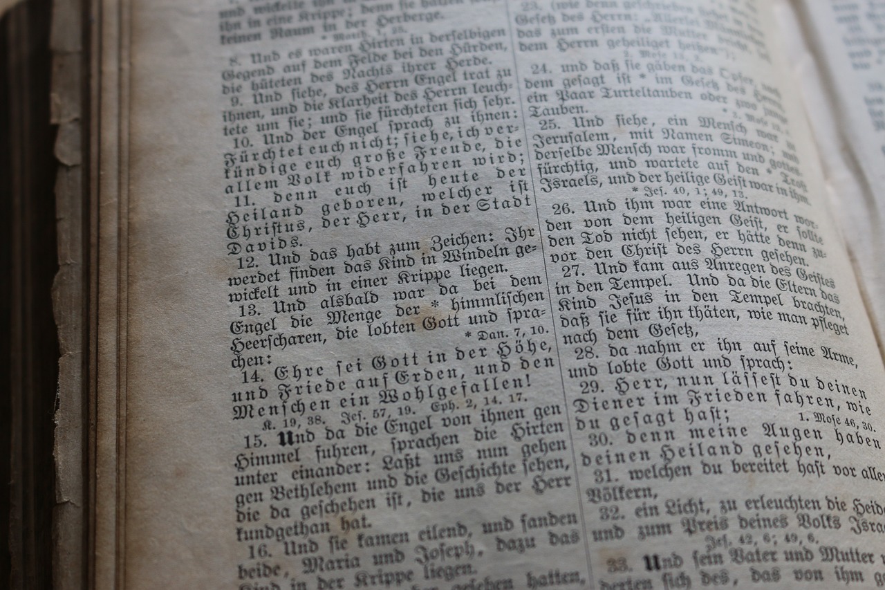 新澳天天彩免費資料2024老,高效組織解釋落實_投入集81.772