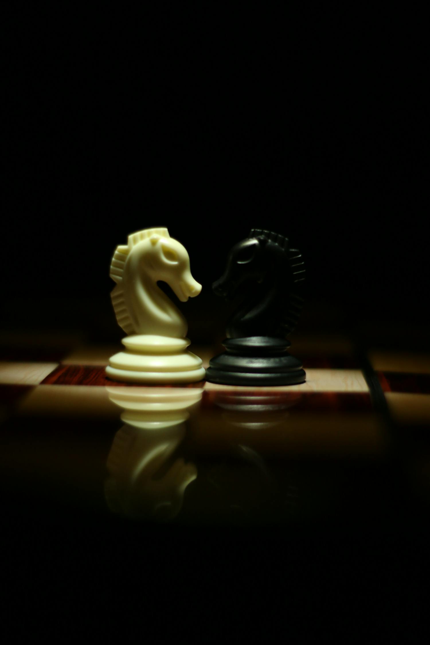 一白小姐一一肖必中特,動(dòng)態(tài)詞語(yǔ)解釋落實(shí)_競(jìng)賽版11.527