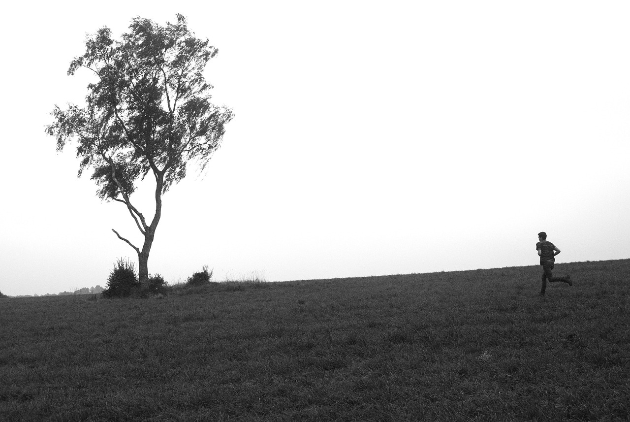 峨眉之星最新動(dòng)態(tài)揭秘，探索與發(fā)現(xiàn)的前沿之旅