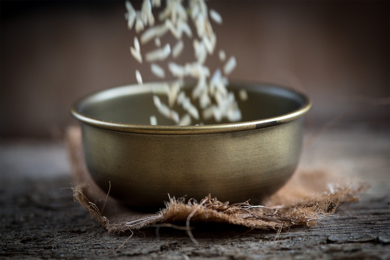 姜素拉最新動(dòng)態(tài)，娛樂(lè)圈中的璀璨光芒