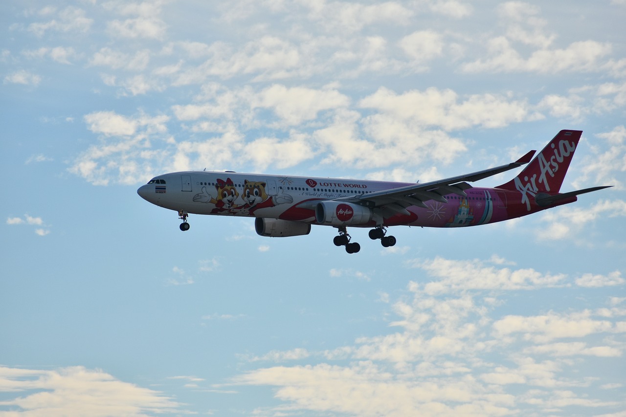 航空出行新規(guī)定，拐杖可攜帶上飛機(jī)，無障礙體驗(yàn)再升級