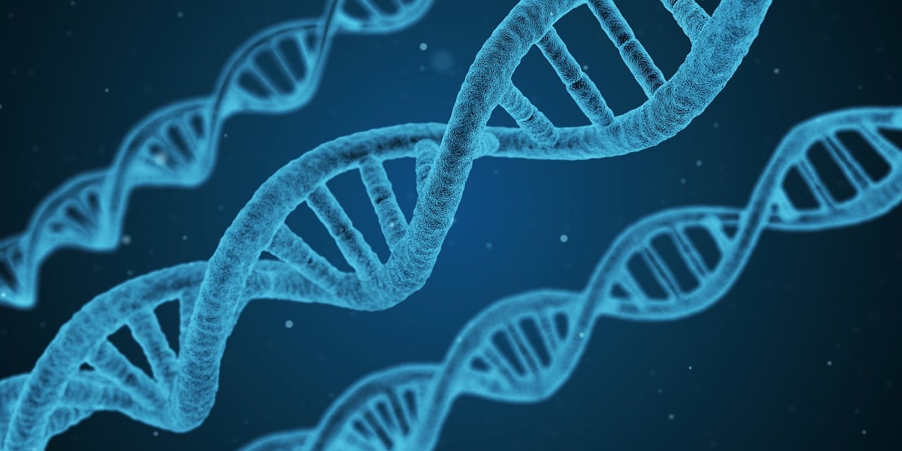 始祖鳥最新研究進(jìn)展揭示古老生物演化新篇章