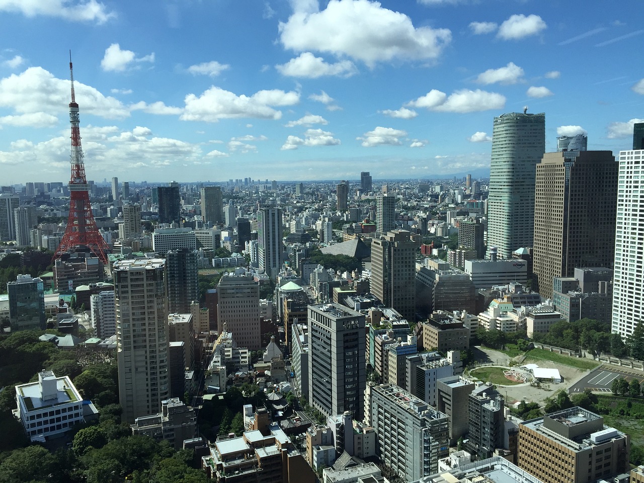 陽信最新樓盤信息深度解析